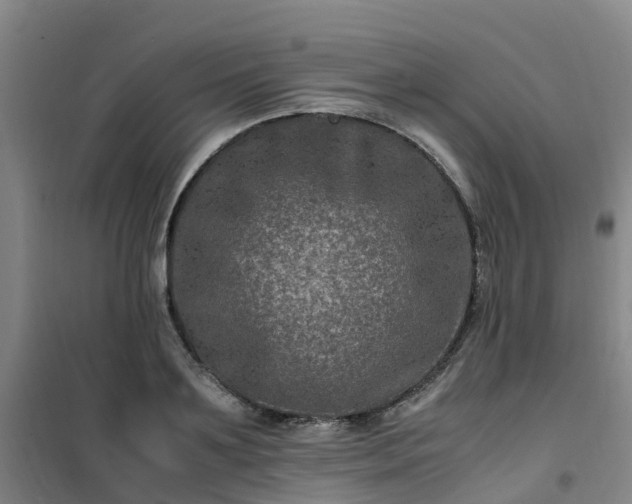 X0000101170891200807111049