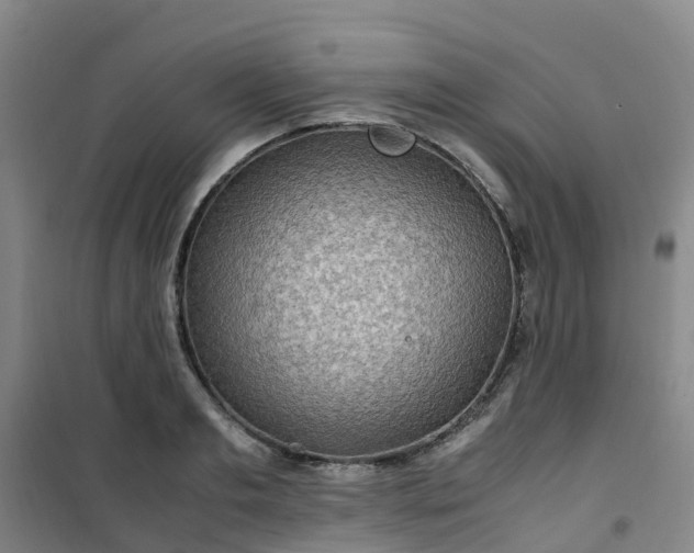 X0000101170893200807111049