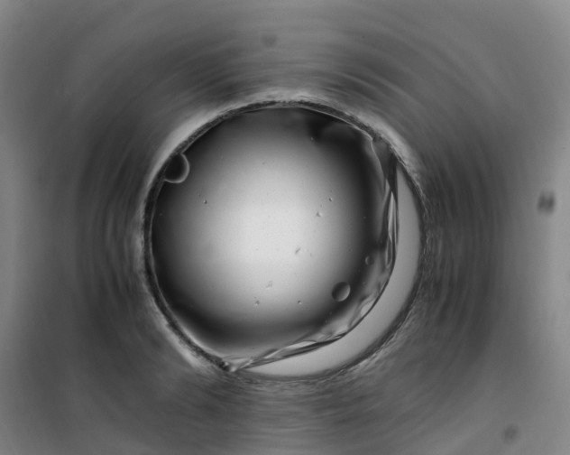 X0000101170894200807111049