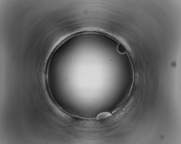 X0000101170895200807111049