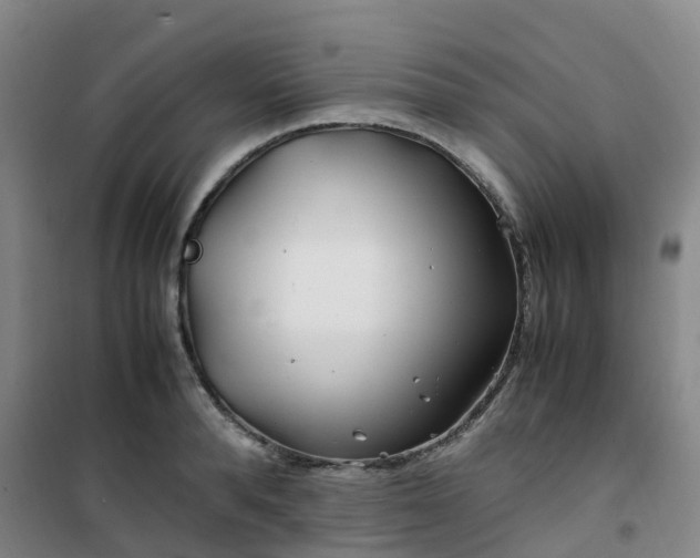 X0000101170896200807111049