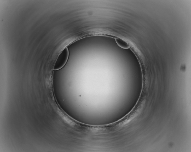 X0000101170897200807111049