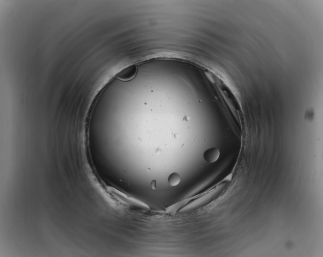 X0000101170898200807111049