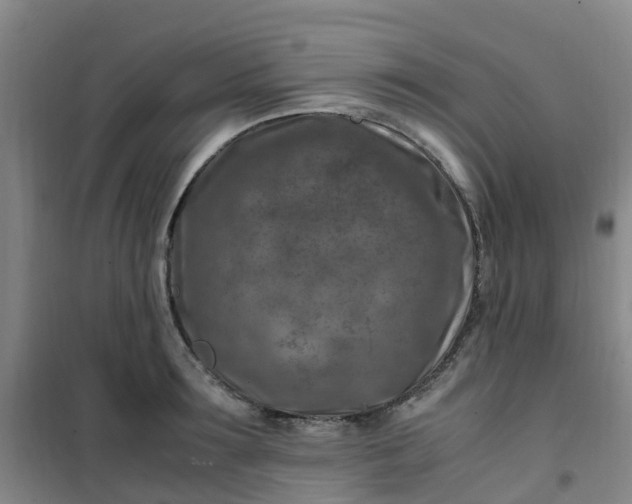 X0000101170899200807111049