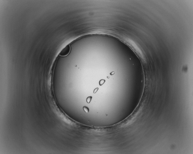 X0000101170900200807111049