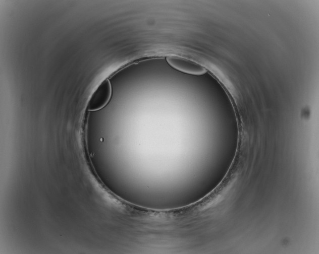 X0000101170901200807111049