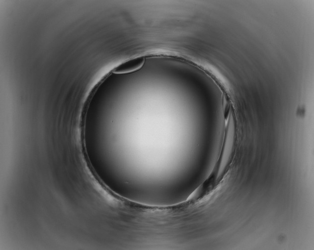 X0000101170902200807111049