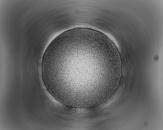X0000101170903200807111049
