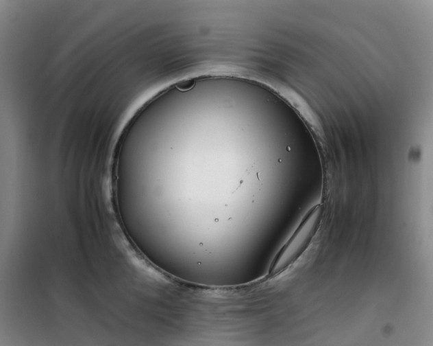 X0000101170904200807111049