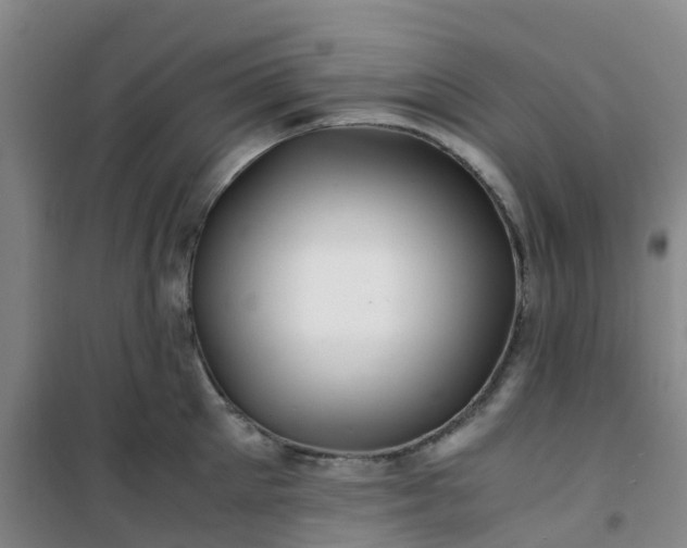 X0000101170905200807111049