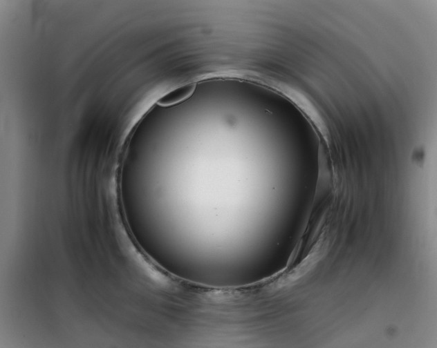 X0000101170906200807111049