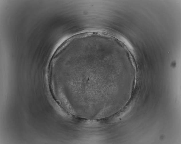 X0000101170907200807111049