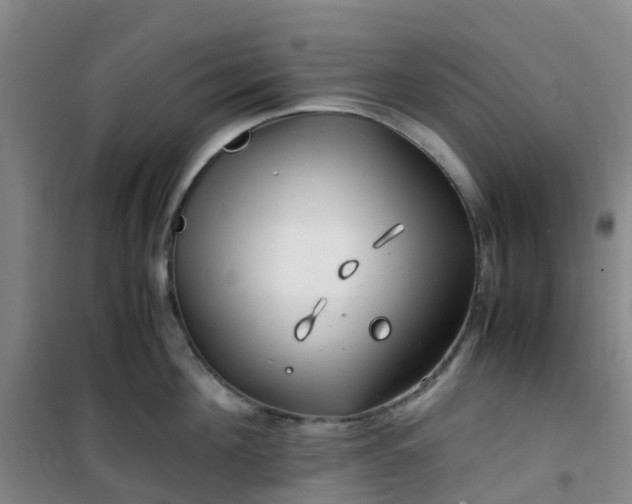 X0000101170908200807111049