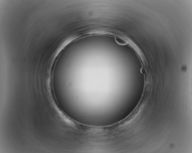 X0000101170909200807111049