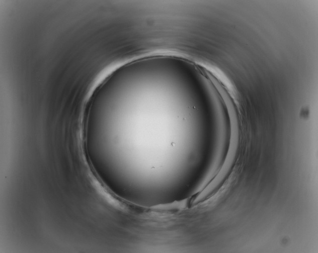 X0000101170910200807111049