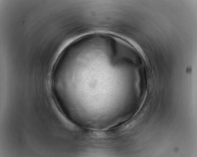 X0000101170911200807111049