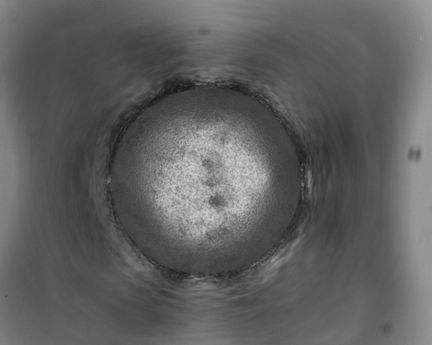 X0000101170913200807111048