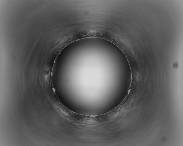 X0000101170914200807111048