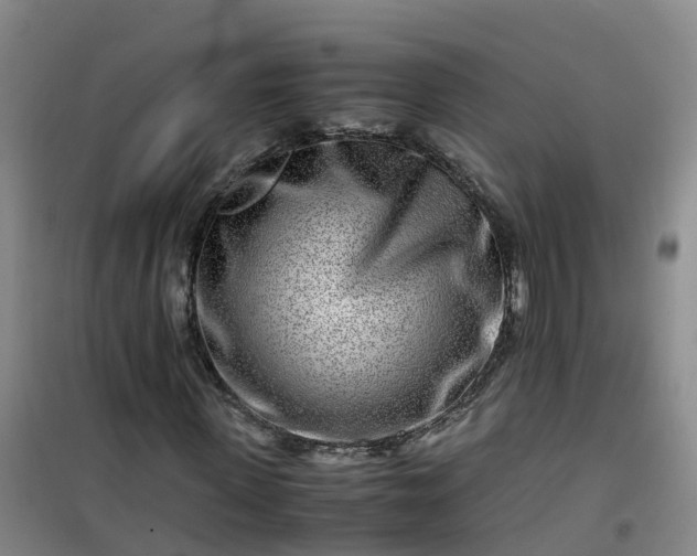 X0000101170915200807111048
