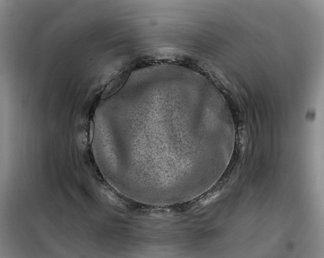 X0000101170916200807111048