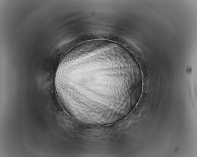 X0000101170917200807111048