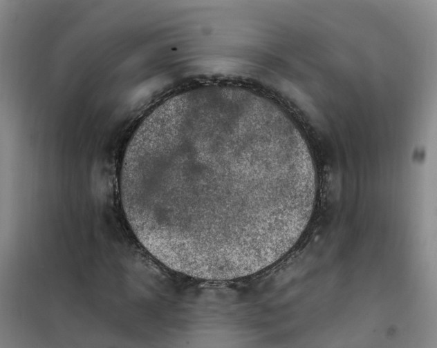 X0000101170918200807111048