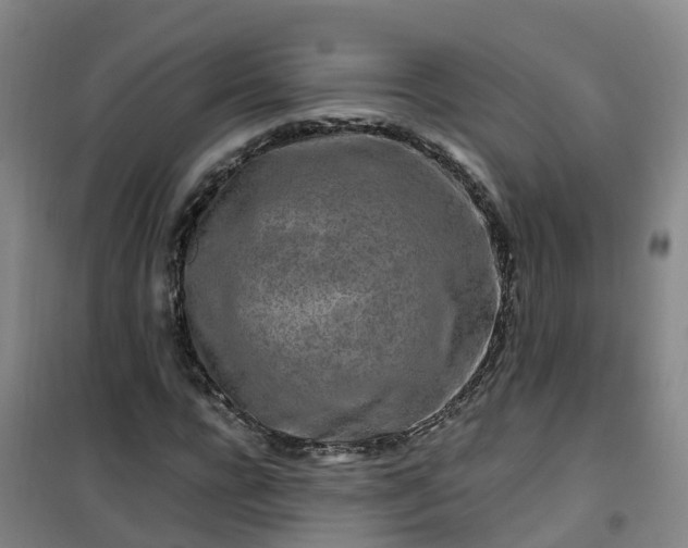 X0000101170920200807111048