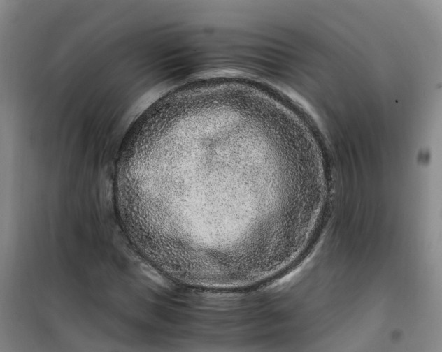 X0000101170921200807111048