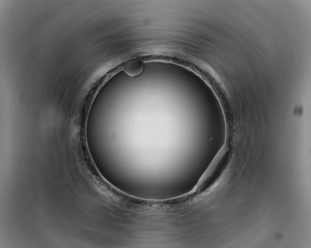 X0000101170922200807111048