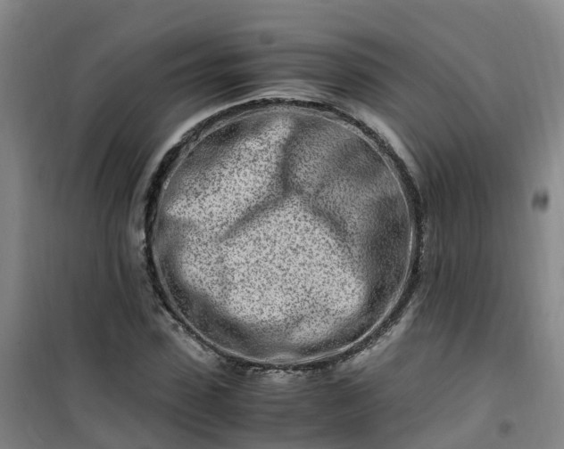 X0000101170923200807111048