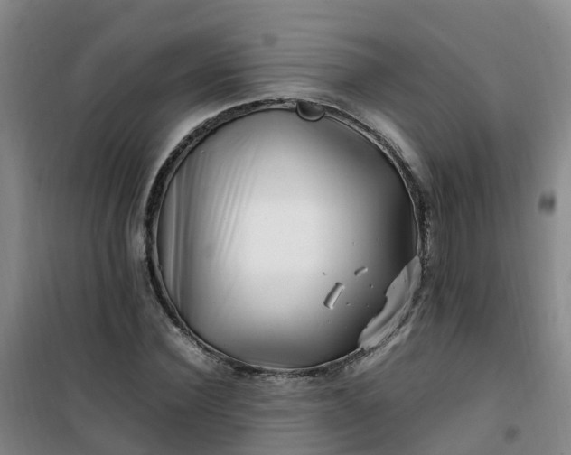 X0000101170924200807111048