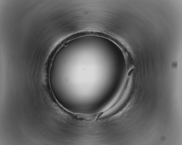 X0000101170926200807111048