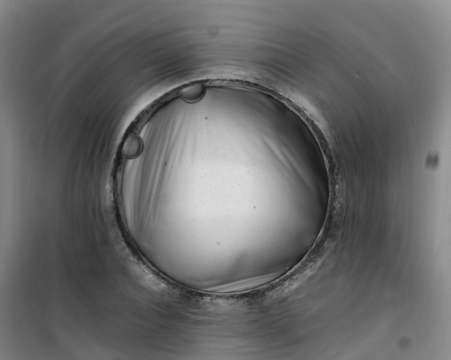X0000101170928200807111048