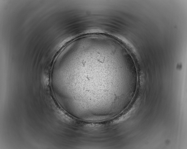 X0000101170929200807111048