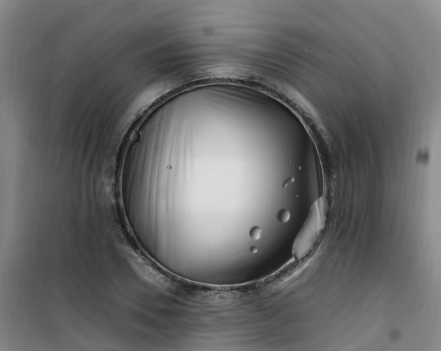 X0000101170930200807111049