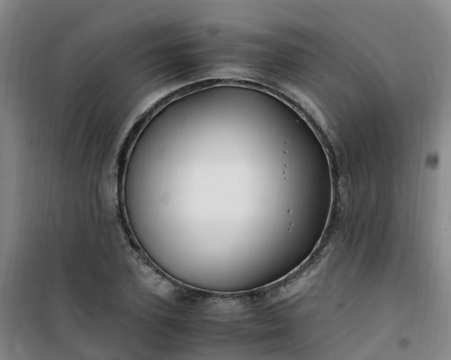 X0000101170931200807111049