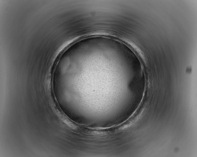 X0000101170933200807111049