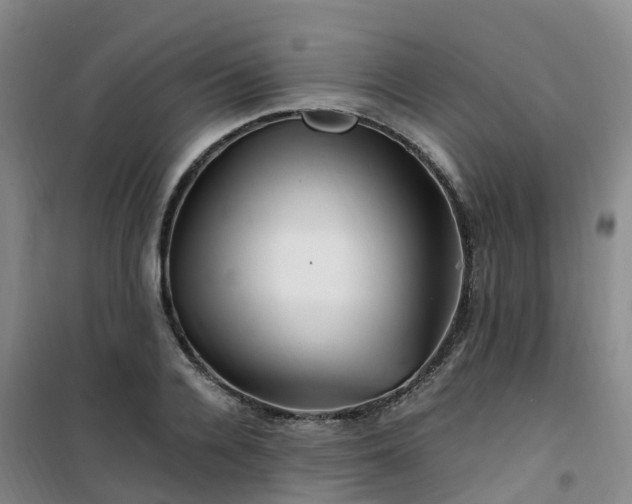 X0000101170936200807111049