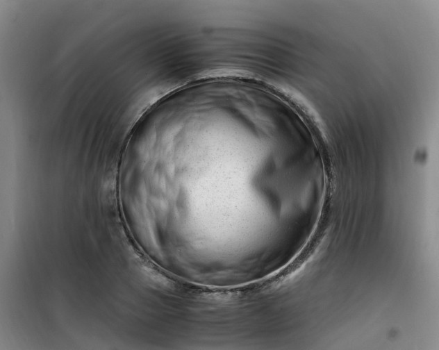X0000101170937200807111049