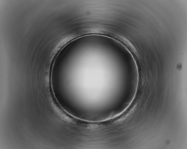 X0000101170938200807111049