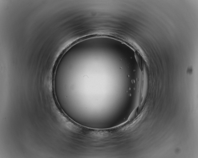 X0000101170939200807111049