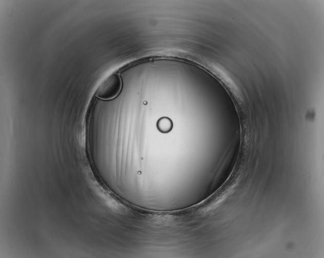X0000101170940200807111049