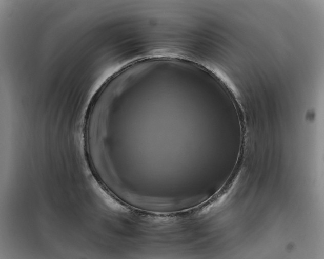 X0000101170941200807111049