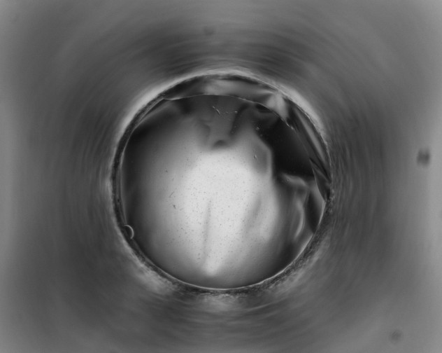 X0000101170943200807111049