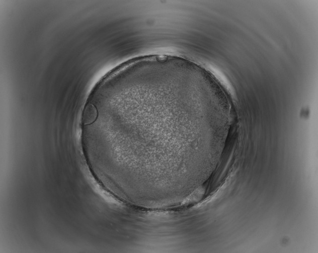 X0000101170944200807111049