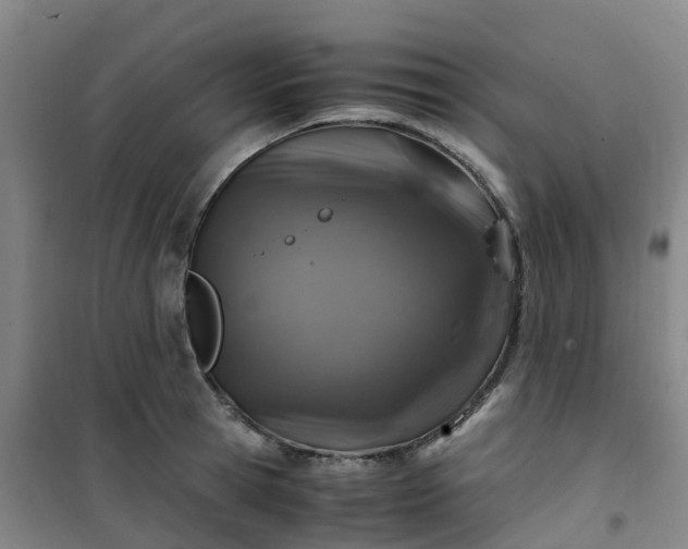 X0000101170945200807111049