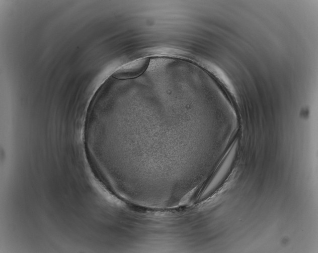 X0000101170946200807111049