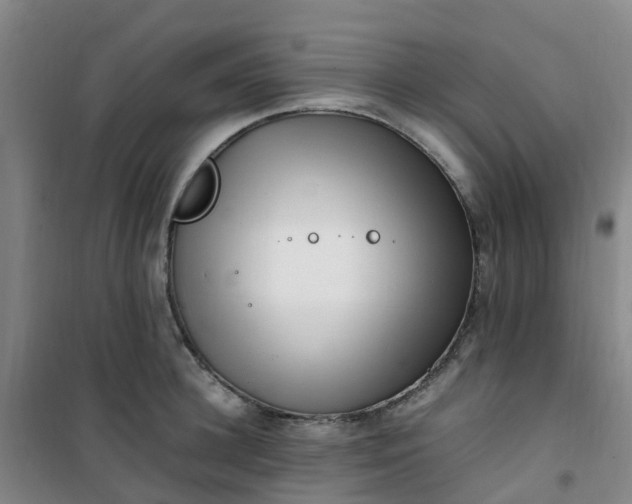 X0000101170948200807111049