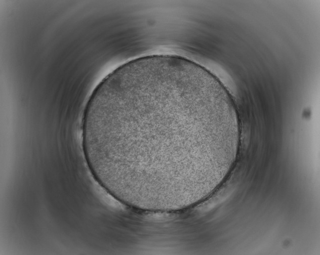 X0000101170950200807111049
