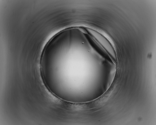 X0000101170951200807111049